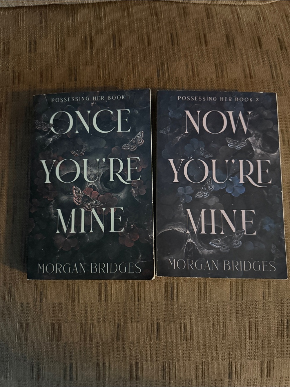 Morgan Bridges Possessing Her Series 2-book set